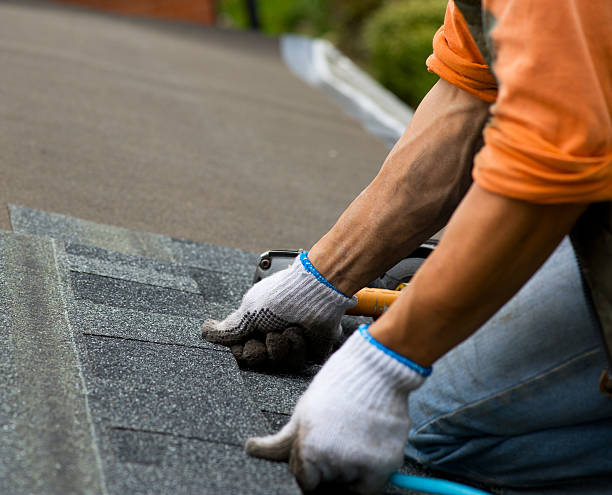 Best Flat Roof Repair Services  in Tazewell, VA