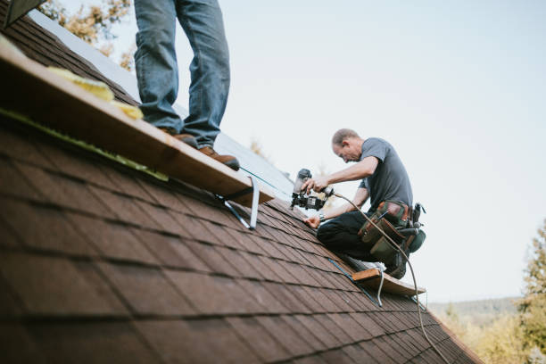 Best Shingle Roofing Installation  in Tazewell, VA